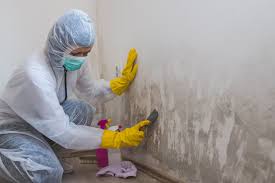 Best Emergency Mold Remediation  in Lindsborg, KS